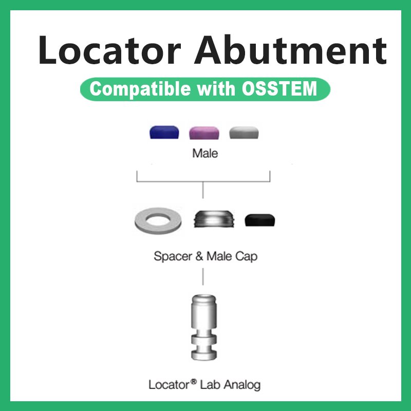 Locator基台 详情3 Locator Abutment Compatible with osstem