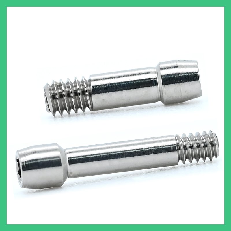 Central Screw compatible with bego