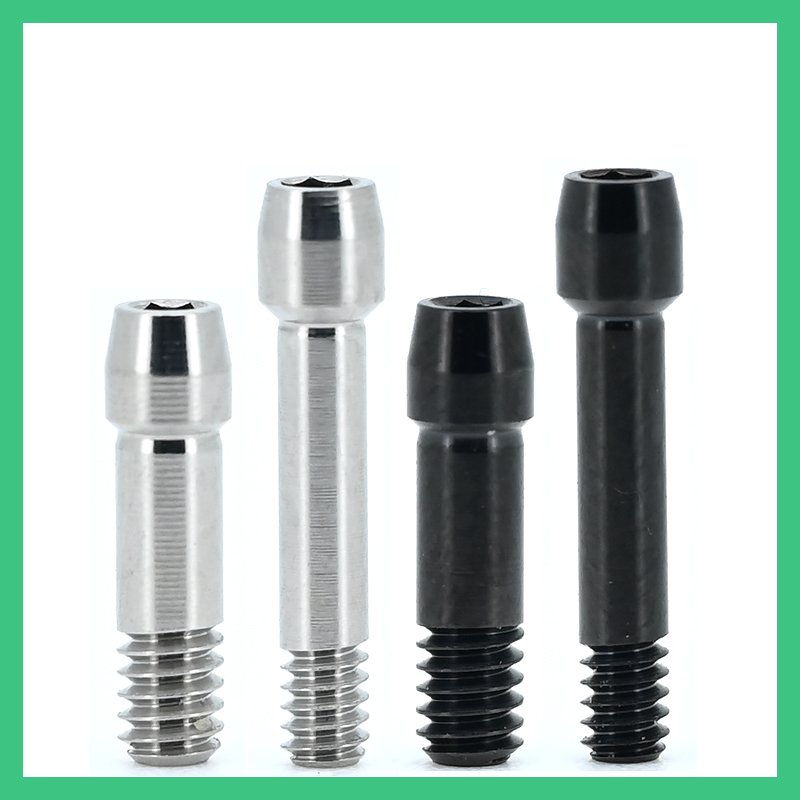 Central Screw compatible with bego