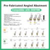 Pre-Fabricated Angled Abutment: Compatible with OSSTEM