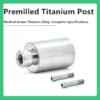 Premilled Titanium Post compatible with Dentium Titanium Abutment Blanks Diameter DØ10.0 DØ14.0 DØ15.0