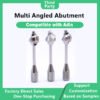 Multi Angled Abutment-17°
