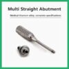 Multi Straight Abutment