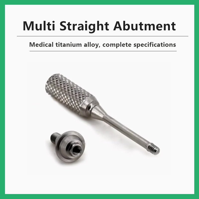 Multi Straight Abutment