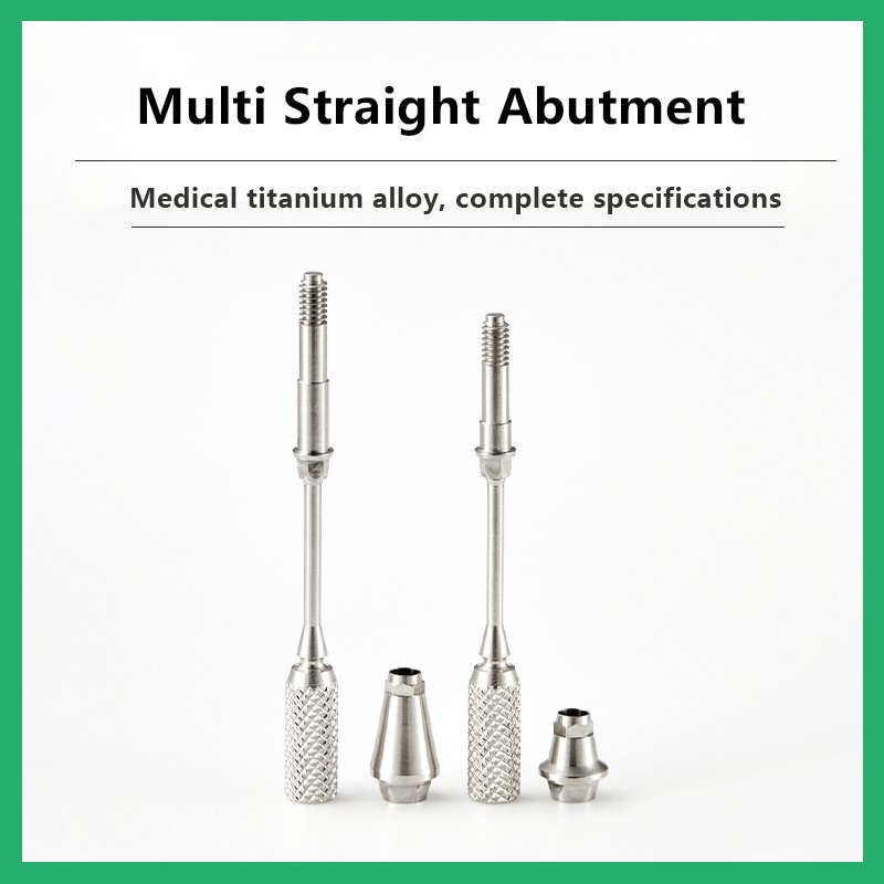 Multi Straight Abutment