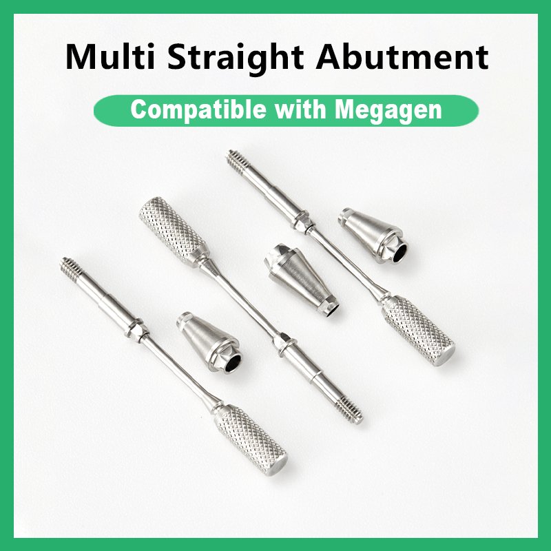 Multi Straight Abutment