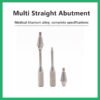 Multi Straight Abutment
