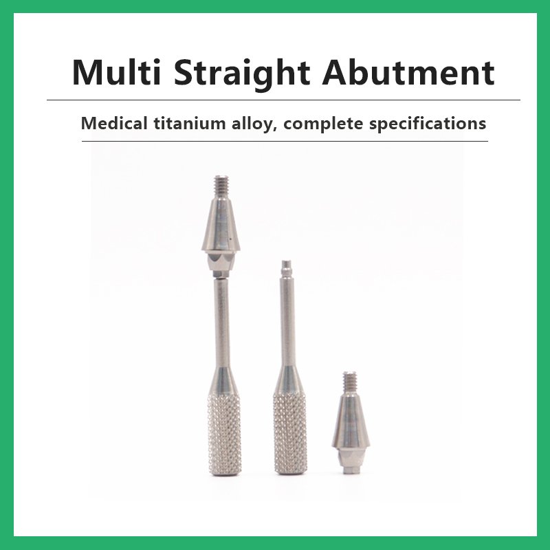 Multi Straight Abutment