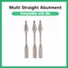 Multi Straight Abutment
