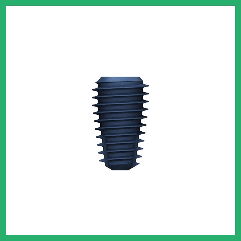 Dental Implant Compatible with MEGAGEN Anyone Internal Fixture