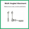 Multi Angled Abutment-NEO