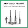 Multi Straight Abutment