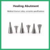 Healing Abutment