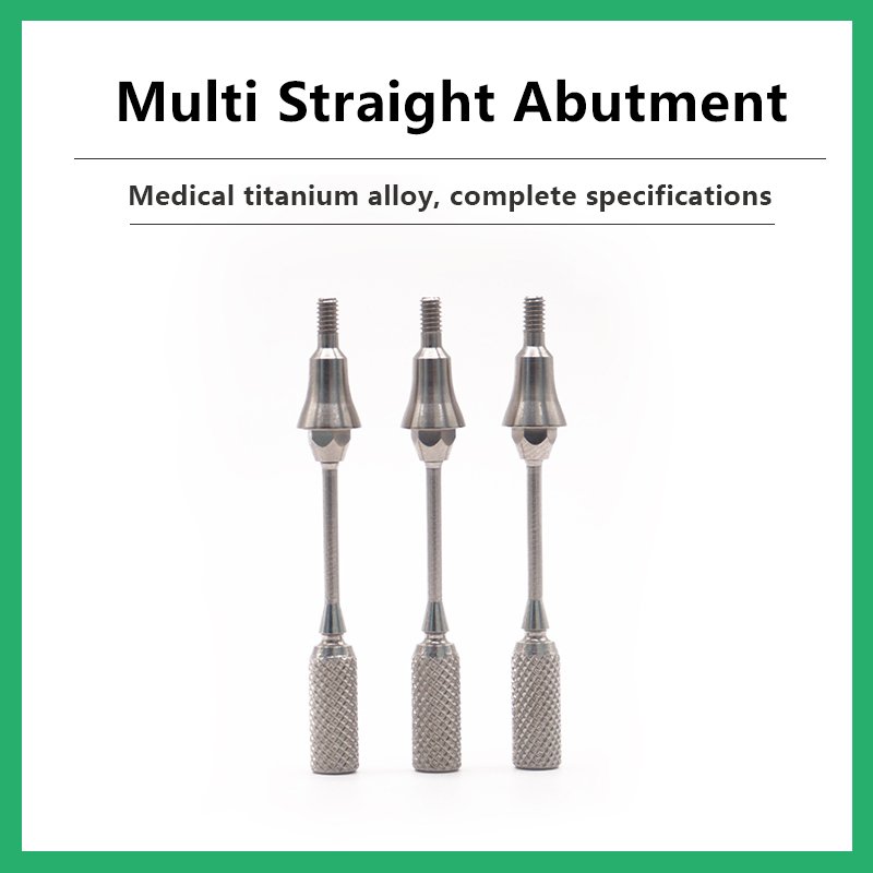Multi Straight Abutment