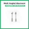 Multi Angled Abutment-NEO