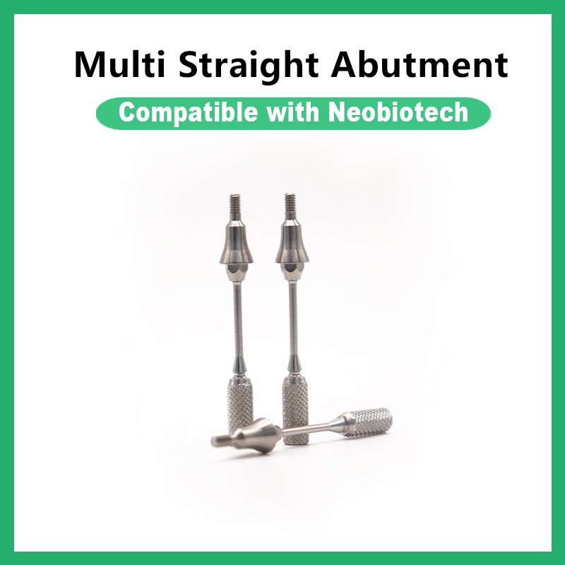 Multi Straight Abutment